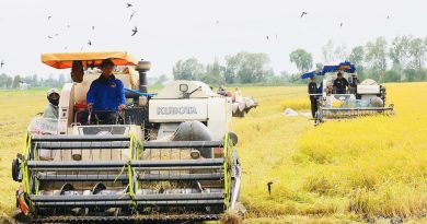 ĐBSCL đang đối diện với nhiều nghịch lý phát triển