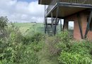 Chuyên gia nêu lý do đất nền phân lô bán cắt lỗ vẫn không có người mua