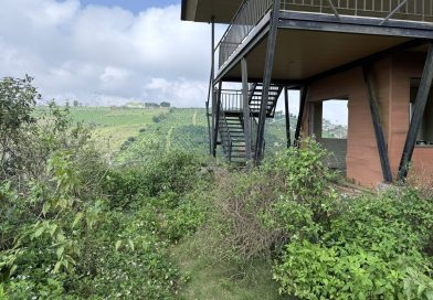 Chuyên gia nêu lý do đất nền phân lô bán cắt lỗ vẫn không có người mua