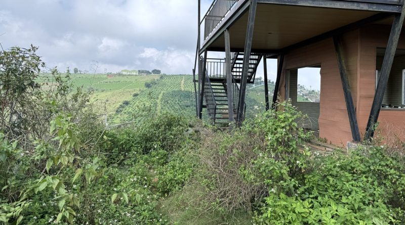 Chuyên gia nêu lý do đất nền phân lô bán cắt lỗ vẫn không có người mua