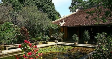 Vườn Nhật Bản và vườn Việt Nam: Hai cách tiếp cận không gian cảnh quan