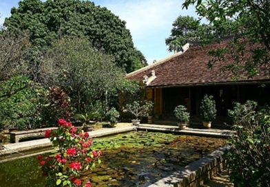 Vườn Nhật Bản và vườn Việt Nam: Hai cách tiếp cận không gian cảnh quan