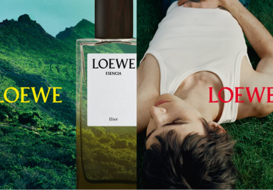 LOEWE Perfumes: Những “Sắc Xanh” Dành Riêng Cho Người Cha Hiện Đại