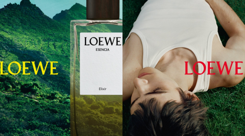 LOEWE Perfumes: Những “Sắc Xanh” Dành Riêng Cho Người Cha Hiện Đại