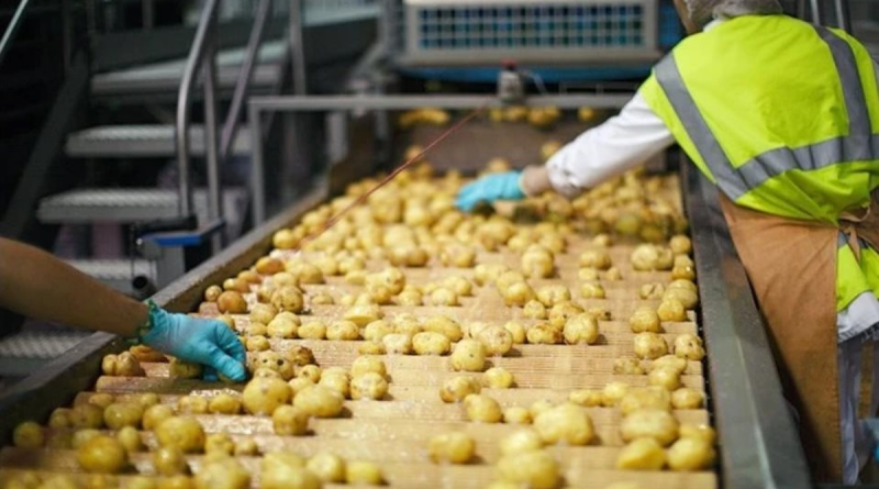 Phát hiện tinh hoa công nghệ làm ra 10 triệu gói xuất xưởng mỗi ngày