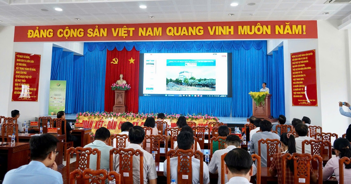 dong-huong-dong-thap-1-1781409849575836575807-314-0-1654-2560-crop-17814101456361088480172.jpg