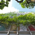 when-facades-become-habitats_7.webp.webp