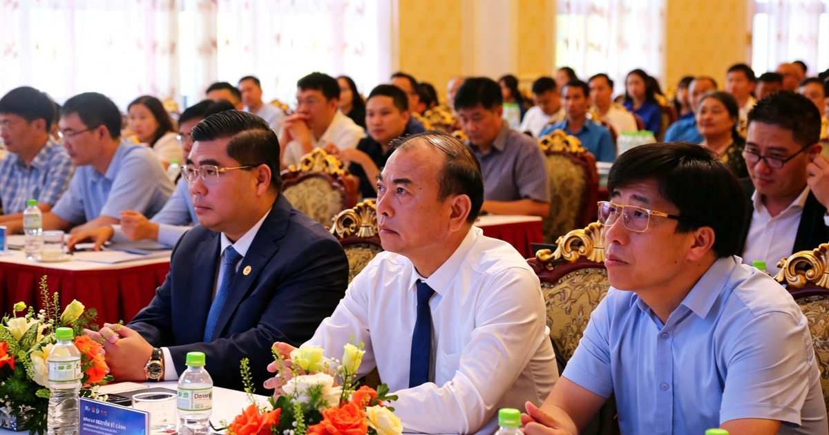 anh2-1786799505790826370527-83-0-1333-2000-crop-17867995155351899705568.jpg