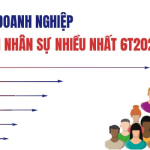 avatar1785859060145-17858590605632026979845.png