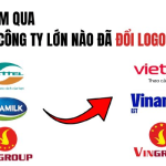 avatar1786640525938-17866405265401092705143.png