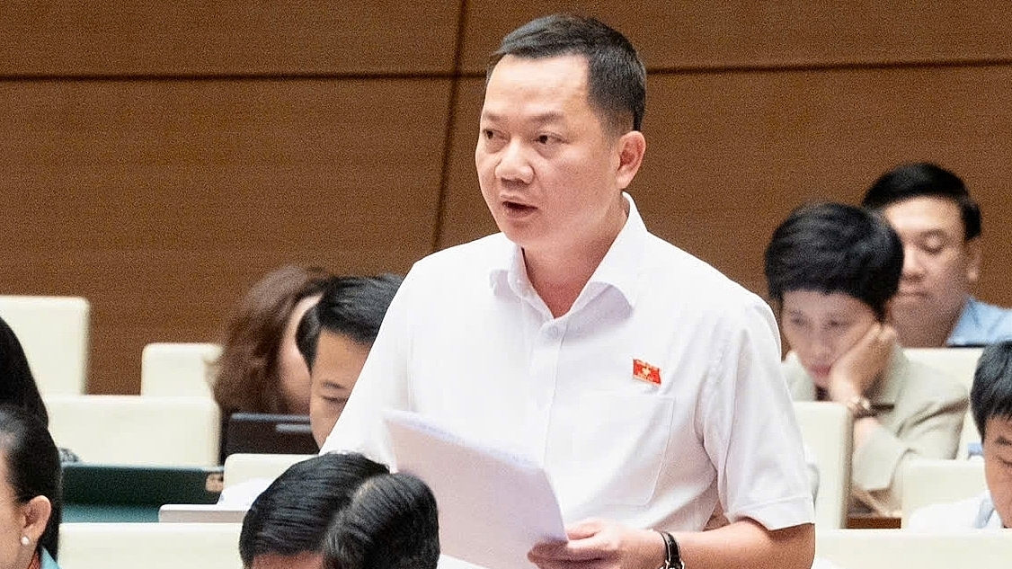 dai-bieu-trinh-xuan-an-1785921-3951-8199-1785921789.jpg