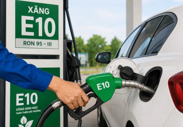 xang-e10-1-17797861479321726381211-1779786756029-17797867567441131329417-8-0-508-800-crop-17797867882611289571314.jpg