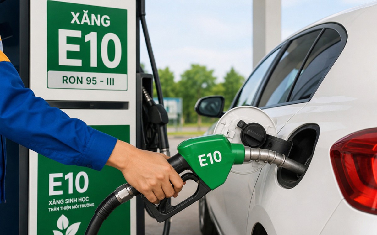 xang-e10-1-17797861479321726381211-1779786756029-17797867567441131329417-8-0-508-800-crop-17797867882611289571314.jpg