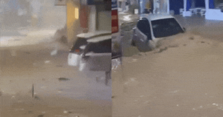 avatar1793002476198-17930024777071089892072.gif.png